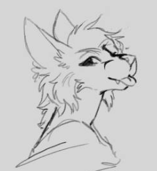 Random Sketch